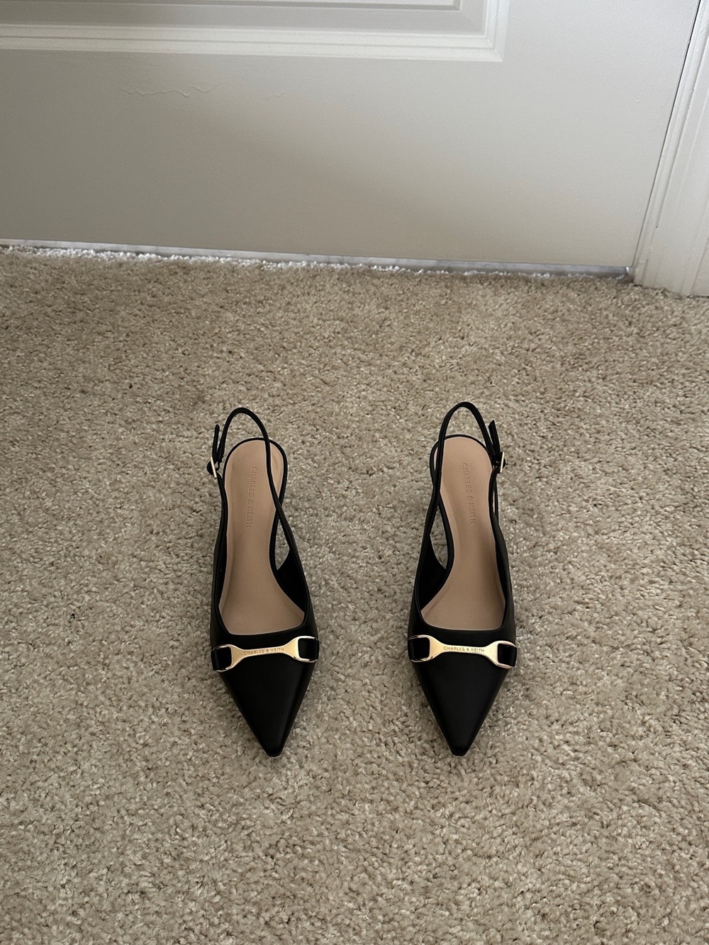 Charles & Keith Black Pointed Slingback Heels with Gold Buckle